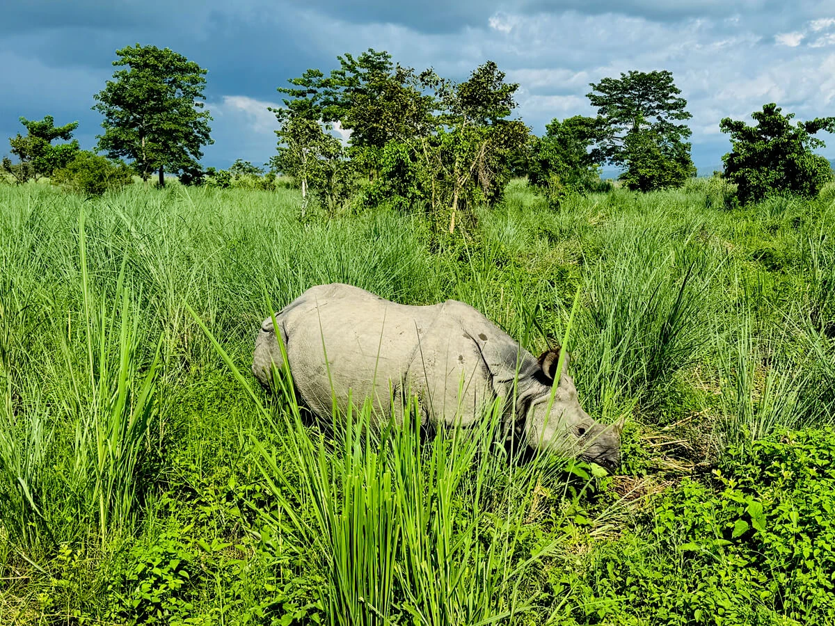 Bardia Tour Safari