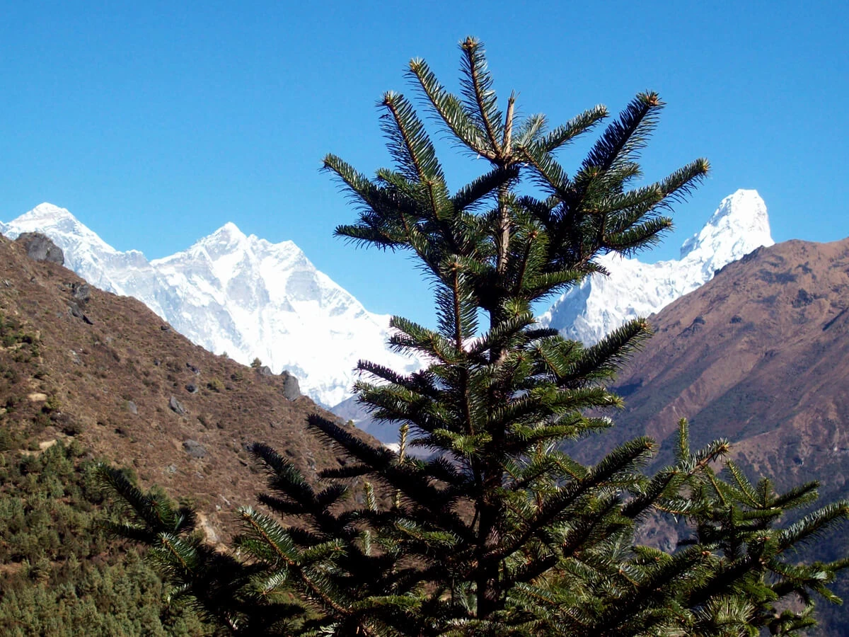 Gokyo Lake Trekking