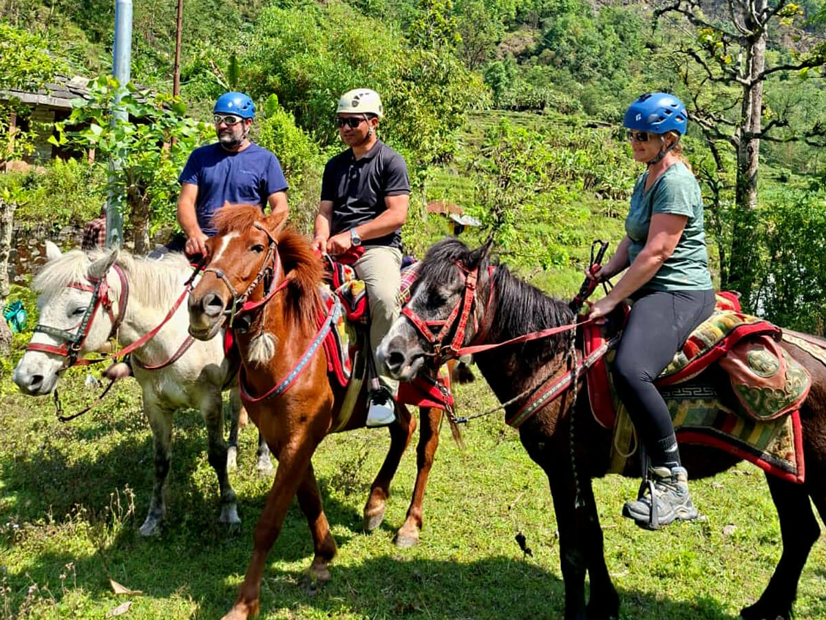 Group Horse Riding