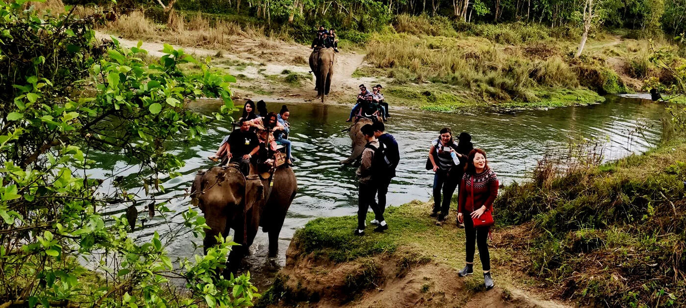Jungle Safari Tour Packages