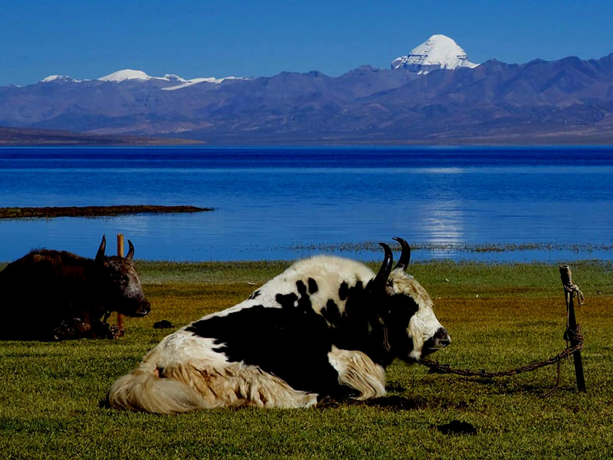 Kailash Tibet Tour