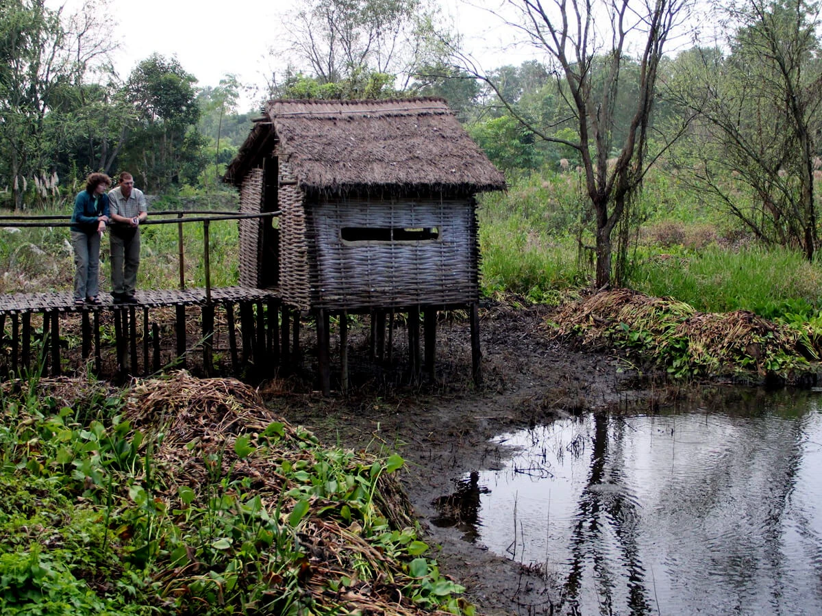 Koshi Tappu Bird Watching Tour