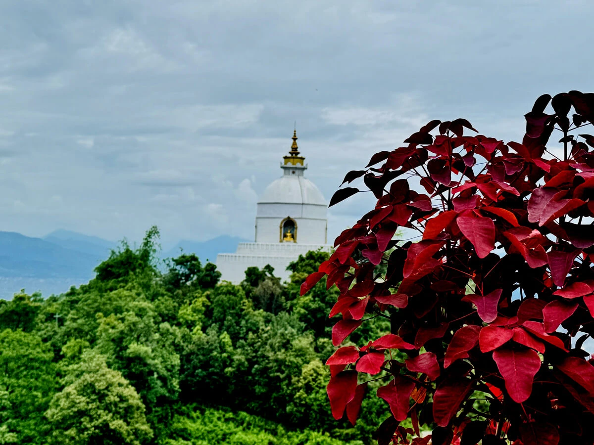 Kathmandu Pokhara Tour