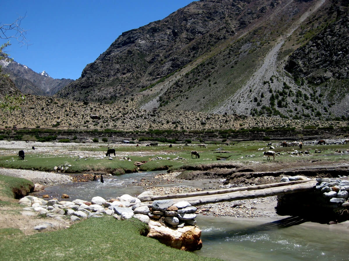 Limi Humla Trek