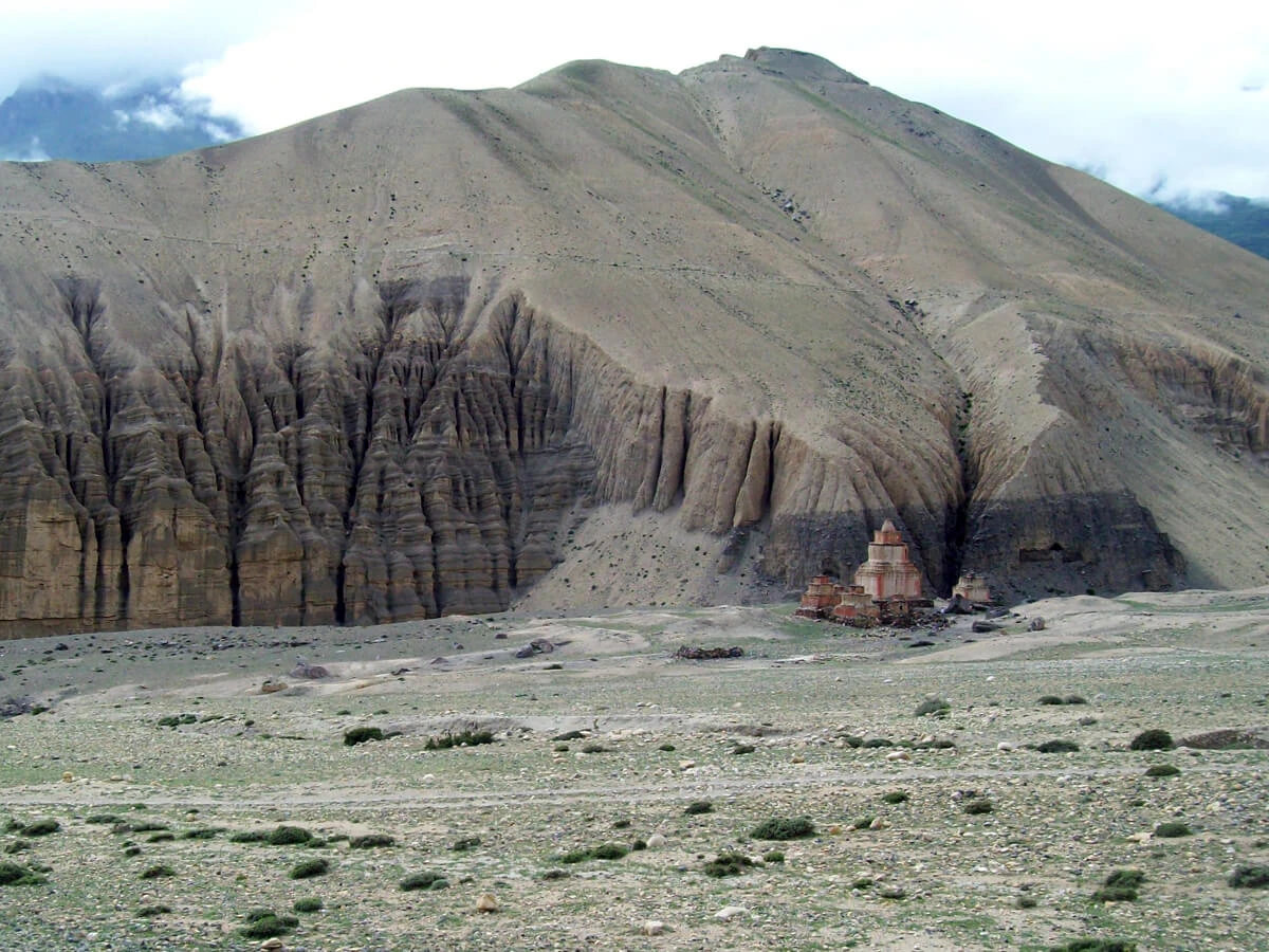 Mustang Jeep Ride Tour