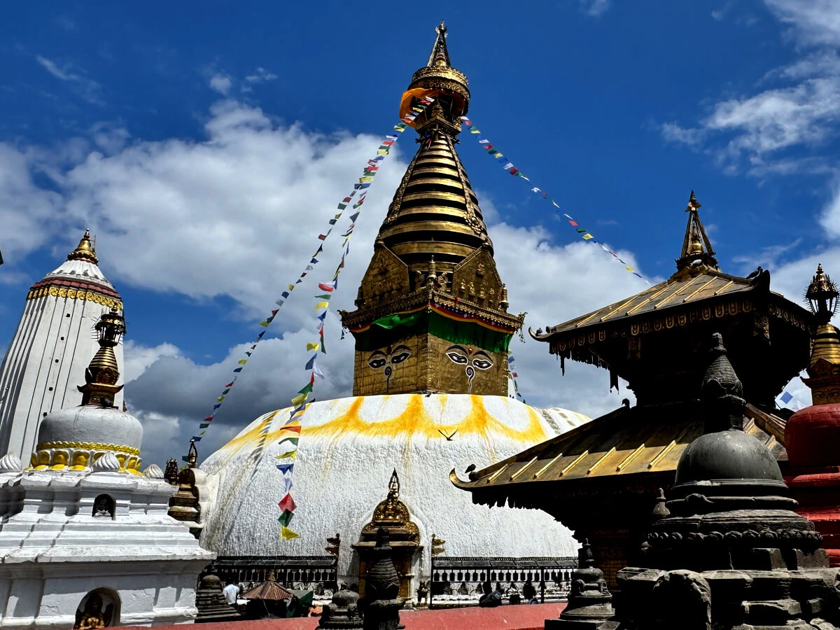 Nepal Jungle Safari Tour