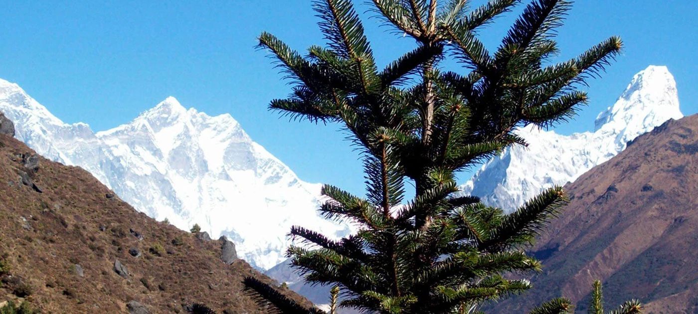 Nepal Re-Opens for Tourists After COVID-19