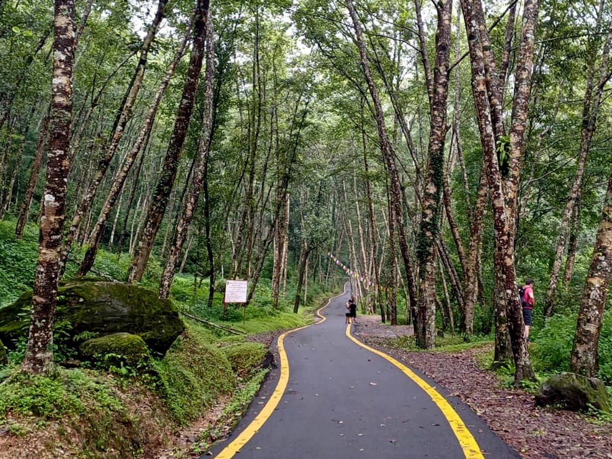 Phulchoki Hill Hiking