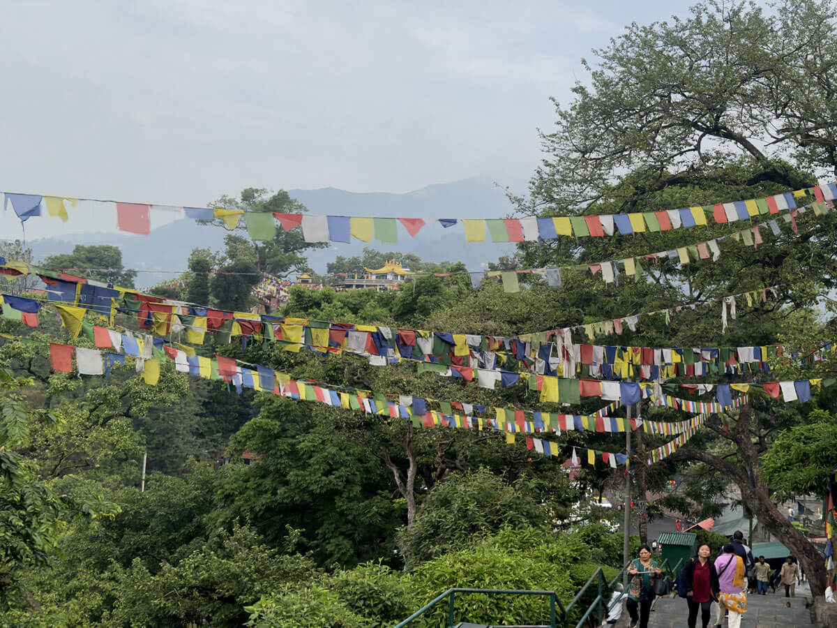 Saka Dawa Festivals