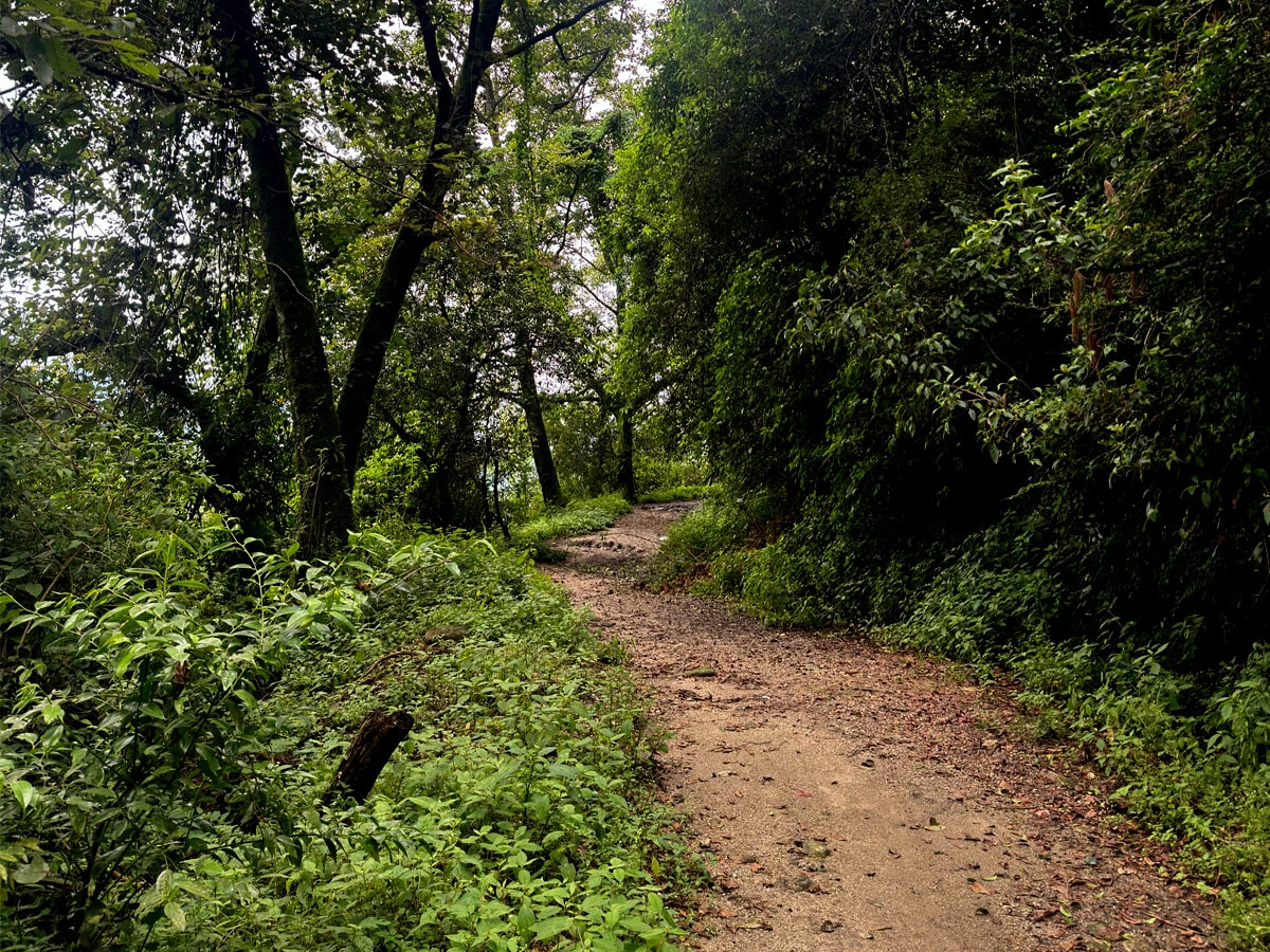 Nature Cycling Trails