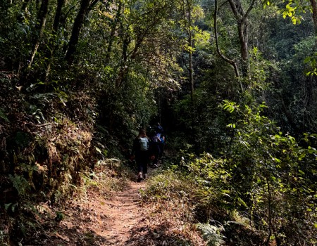 Nagarkot Hiking Jungle Walk