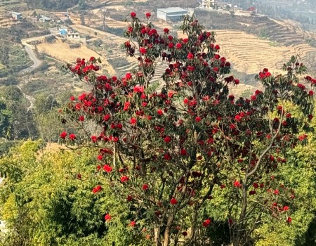 Nagarkot hike