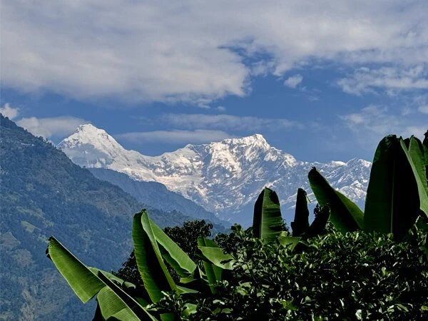 Ganesh Himal Base Camp