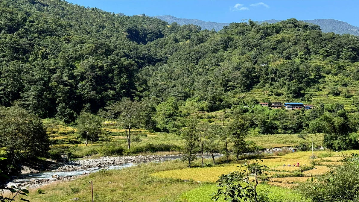 Natural Trekking Path