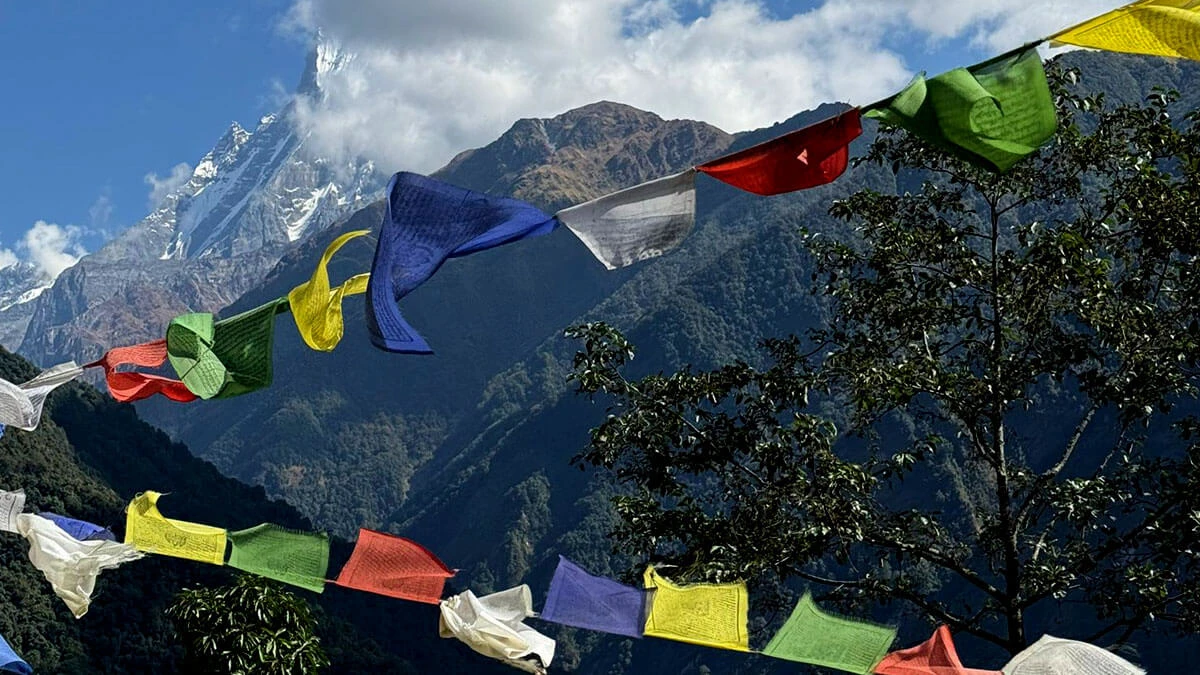 Pothana to Pokhara